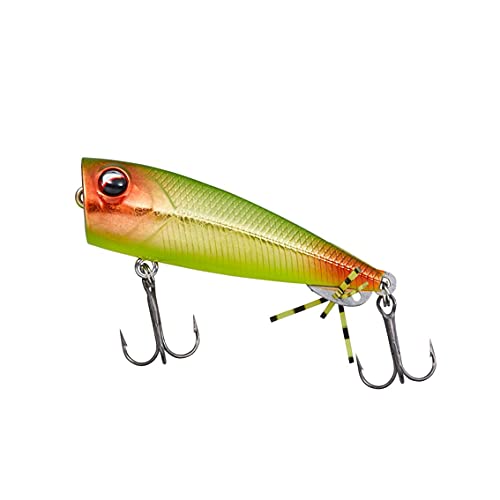 ダイワ(DAIWA) シルバーウルフ チニングバグ 55F グリーンゴールドレッドテール 1枚目