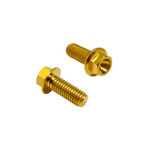 Image of RISON Titanium Flanged Hex Head Bolt M6x1.0x19mm 6AL4V Aerospace Grade 5 Gold Titanium Bolts for Motorcycle Car Modification Pack of 5