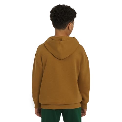 Image of Champion boys Graphic Hoodie Pullover Sweatshirt for Kids With Stylish Embellishments