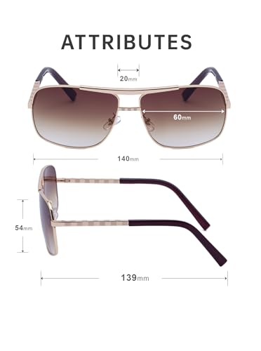 Men's sunglasses Metal Frame Shades Modern Style with Accessories UV Protection 60mm Lens Sunnies (0256)3