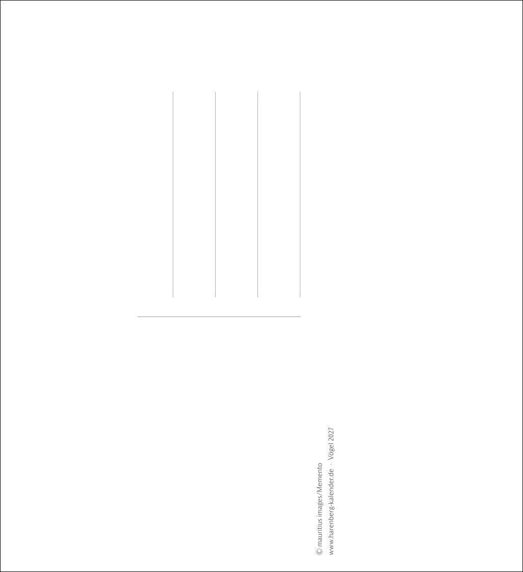 Vögel Postkartenkalender 2027 - Postkartenkalender mit 53 historischen Zeichnungen: Tischkalender mit Retro-Illustrationen. Schönes Geschenk für Kunst- und Naturliebhaber. 16 x 17,5 cm