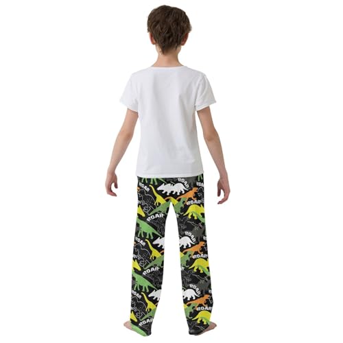 Ancient Dino Roar Print Boys Long Pants Soft Trousers Elastic Waist Kids Lounge Bottoms with Pockets S-XL3