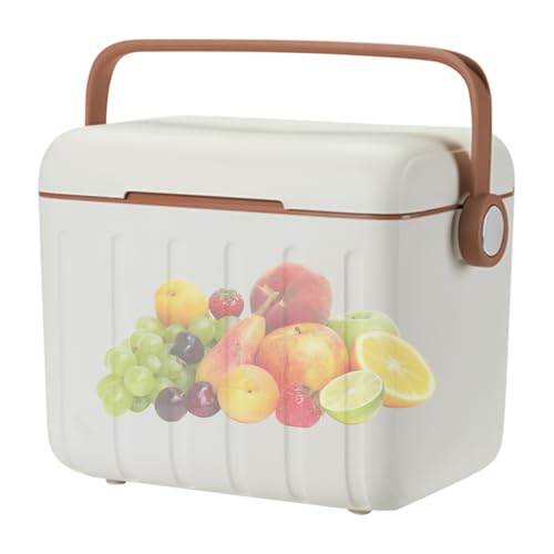 Bolsa nevera aislada | Nevera portátil con 6 de hielo – Portátil de 6 litros para bebidas, senderismo, gimnasio, camping, deportes, barbacoa, viajes, playa, almuerzo, bolsa