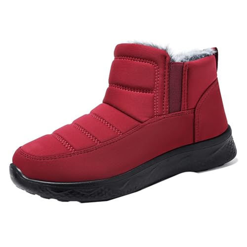 [GHSDQ] Xm[u[c fB[X y bh N hC h h TChSA V[gEB^[u[c g  ~p JWA ȌC C Xm[V[Y h {A  H~ EB^[ nCJbg AEghA 23.0cm 