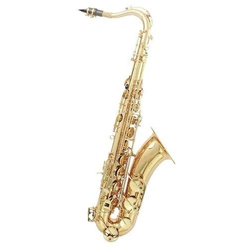 AgTbNX ei[TbNX Bb vtFbVi^JTbNXTbNX؊ǊyP[XX^hZbg[hANZT[(F)