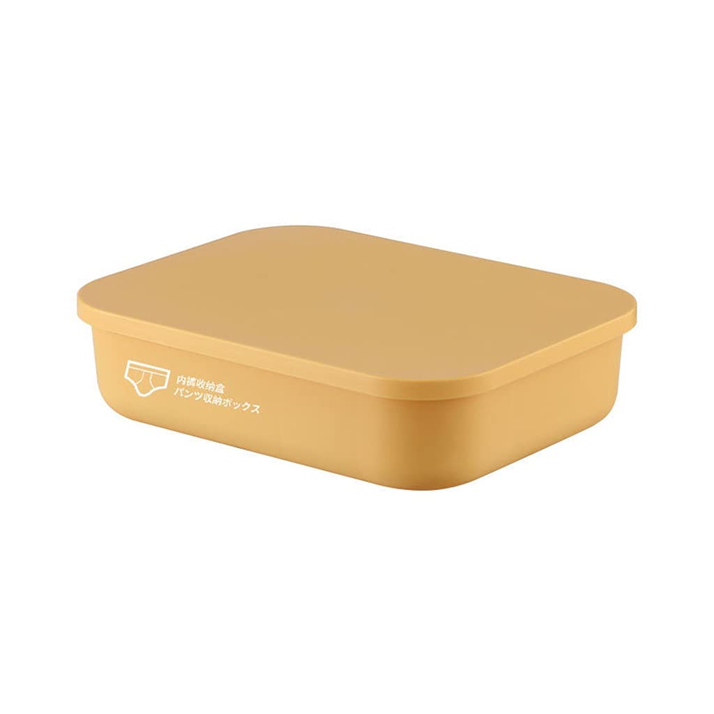 Set di 3 Pezzi Scatola portaoggetti per Biancheria Intima Calzini per cassetti Reggiseno Guanti Organizer per Armadio Organizer per cassetti per Biancheria Intima (A 3)