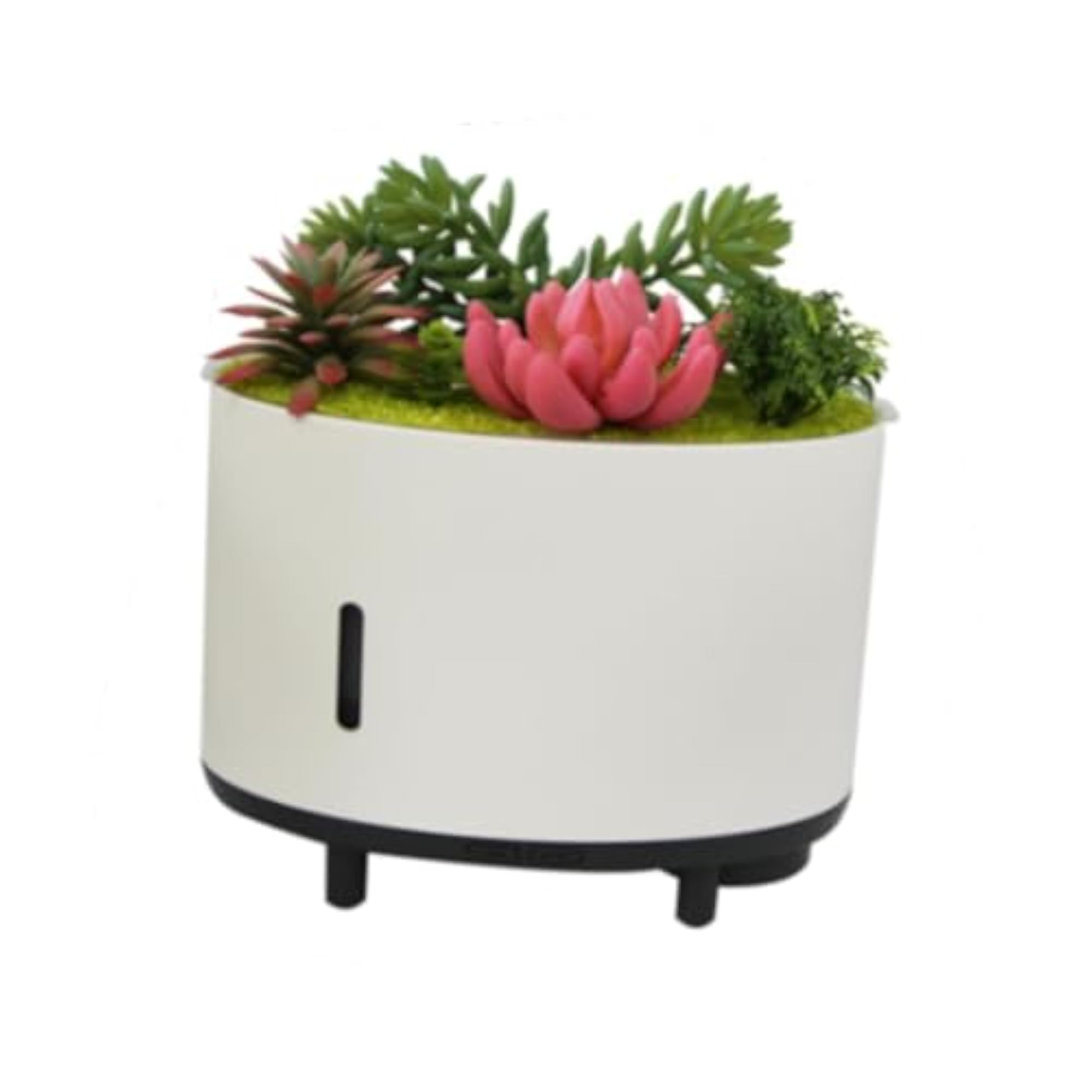 Aroma Essential Diffuser, Air Humidifier for Office