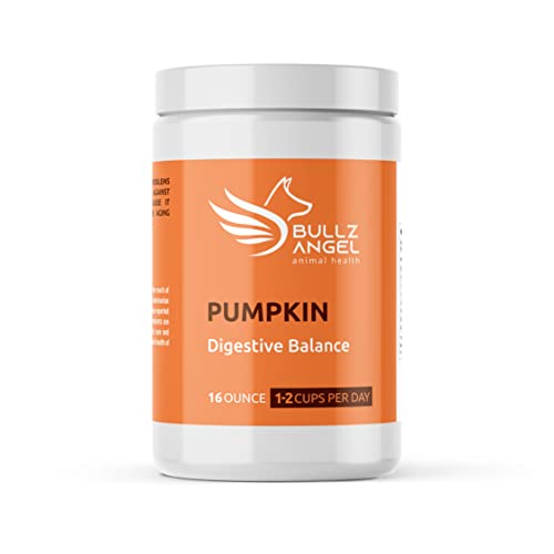 Pumpkin Digestive Balance