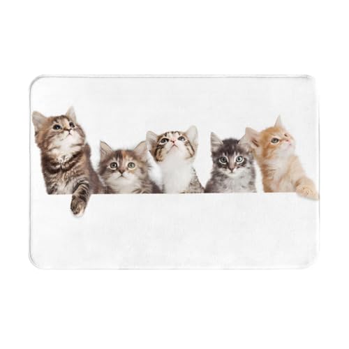 ���փ}�b�g��������L�L���ʔ����˂�(7)�A�j�������}�b�g�z�������R�ۖh�L�o�X�}�b�g�z������~�ߖh�J�r�������L���o�X���[���L�b�`���l�G���p�J�[�y�b�g���킢���v���[���g40×60cmR5T6Y83