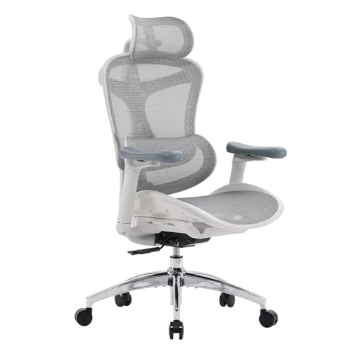 SIHOO Doro C300 Ergonomic Office Chair with 3D Armrests, Dynamic Lumbar Support, and Seat Depth...