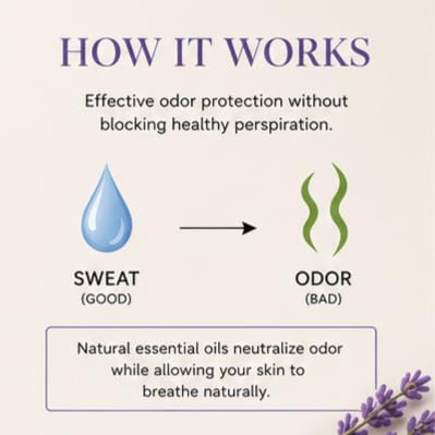 KAMBIO Deodorant Cream 12 Hr Odor Protection French Lavender Travel Size image 3