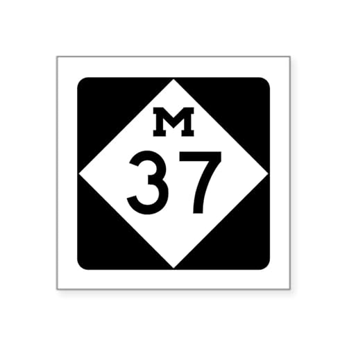 CafePress M 37, Michigan Square Sticker 3 X 3 Square Bumper Sticker Car Decal