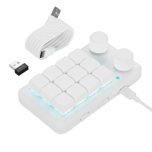 Teclado macro de 12 teclas RGBS de múltiples modos con 2 conexiones de perilla y