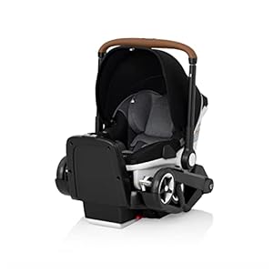 Gold Shyft DualRide with Carryall Storage Infant Car Seat and Stroller Combo (Moonstone Gray)