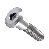 WR COMPOSITI 軽量チタンスキュワー シルバー　中古 Amazon.co.jp: イージーワークス(EGWORKS) EGWORKS 高強度64