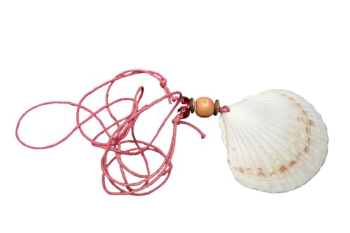 Collier coquillage véritable 50mm Miniblings d'une finesse unique