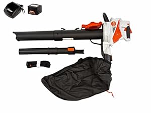Stihl Akku Saughäcksler SHA 56 Set