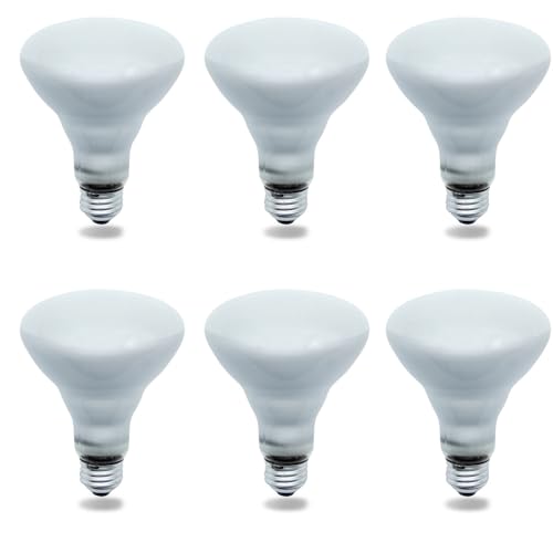 Replacement for Philips 65BR30/FL55 120V by Technical Precision 6 Pack