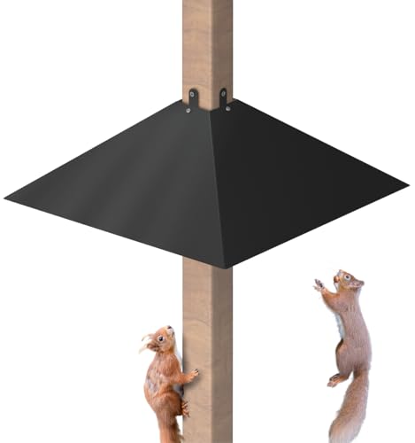 Queension Plastic Squirrel Baffle for 4x4 Bird Feeder Pole Square Squirrel Guard for 3.5 to 4.5 Inch Wooden Post to Keep Squirrels and Racoons Off Bird Houses Black 1 Pack