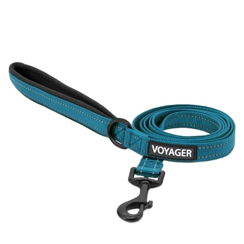 Image of Best Pet Supplies Voyager Reflective Dog Leash or Collar with Neoprene Handle, for Small, Medium, and Large Breed Puppies, Cute and Heavy Duty for Walking, Running and Training - Turquoise (Leash), S