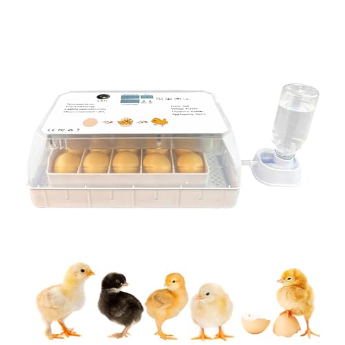 Añadir agua automáticamente 15 huevos de pollo pequeño incubadora de huevo con bandeja de huevo ajustable para la venta