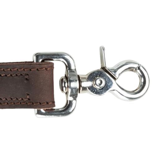 TRIXIE Hundeleine aus Leder Rustic Leine Leder M–L, 1,00 m 20 mm in dunkelbraun - Fettlederleine für Hunde im klassischen Design - für mittelgroße bis große Hunde - 19000