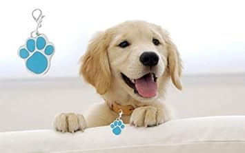 Sage Square Paw Shape Collar Tag Cum Pendant for Dog/Puppy/Kitten/Cat (Blue)