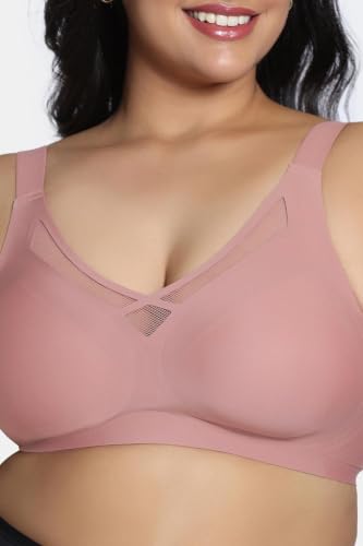 Image of Zivame Women T-Shirt Bra