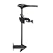 Minn Kota Endura C2 45 12V 45lb 36"