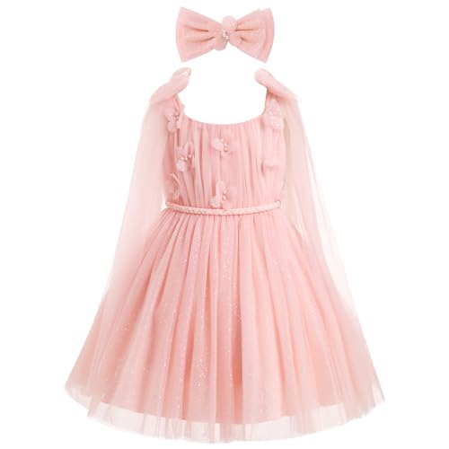 Baby Girl Sleeveless 3D Butterfly Floral Embroidery Ruffle Tulle Dress Toddler Birthday Party Tulle Dress