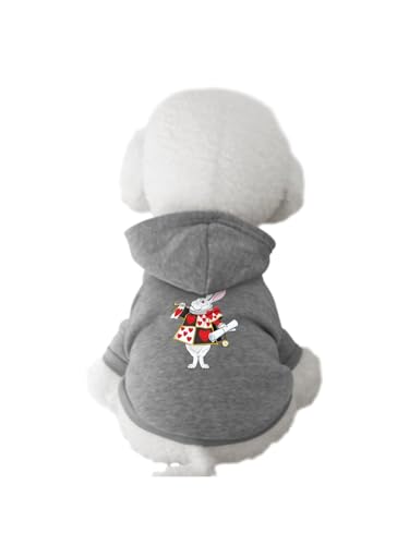 ybg svc̍̃AX  p[J[ hbOEFA  L _炩 ybgEFA H~p h [EFA o U ё΍ M