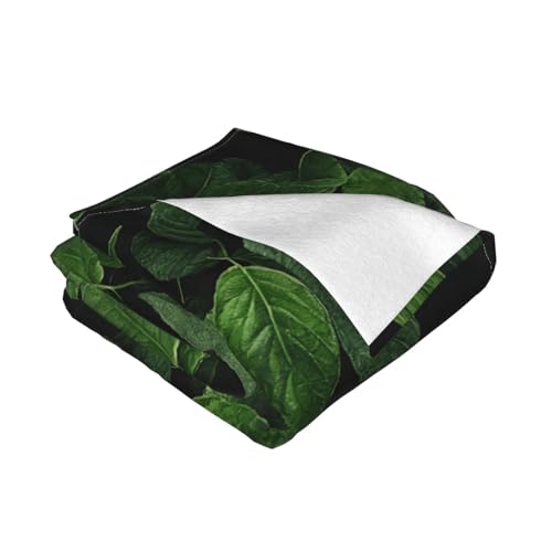 Couverture polaire Saint-Patrick, idée cadeau chaleureuse et douce pour la maison