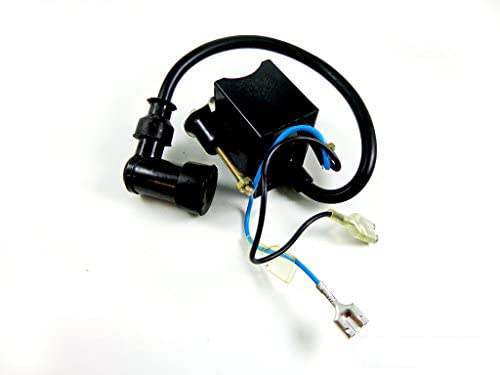 CDI Ignition Coil for 50cc 60cc 66cc 80cc Motorized Bicycle Bike Engine Motor : Automotive
