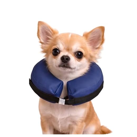 Aufblasbarer Kragen für kleine Hunde
