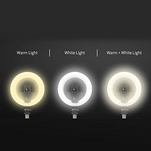 Ajcoflt Tripé de obturador remoto portátil dobrável L07 sem fio Bluetooth selfie com luz anelar LED