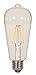 Satco S9581 Medium Bulb in Light Finish, 5.50 inches, 1 Count (Pack of 1), Clear