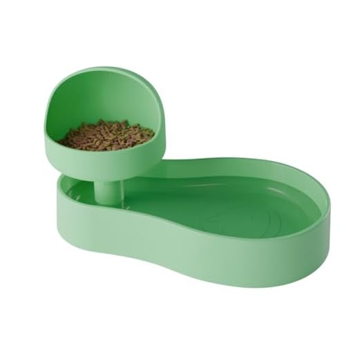 Raised Dog and Cat Food & Water Bowl