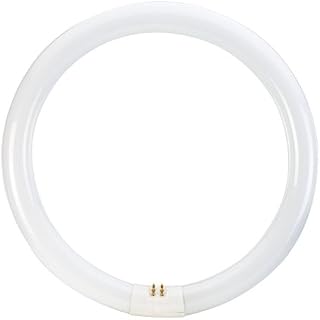 1x Sylvania Circular Magnifier Lamp Fluorescent Tube - 4 Pin 40W (40CM)