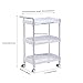 Facial Trolley ABS Beauty Salon 3 Layers Tray SPA Organizer Esthetician Rolling Cart with Wheels Large Storage ETTRO112(White)