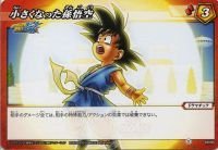 ~NogJh_X hS{ DB06 Ȃ R DB06-69