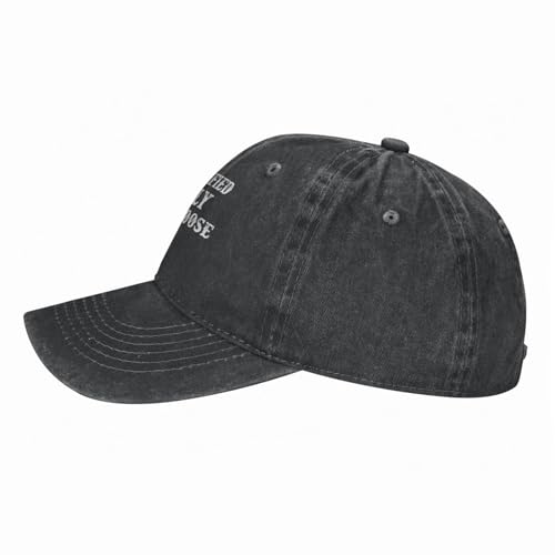 Image of Funny Goose Hat Silly Goose On The Loose Hat Men Baseball Hats Funny Cap