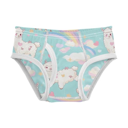 Wusikd Alpaca Boys' Underwear Cotton Rainbow Boys Briefs Soft Toddler Underwear 2T