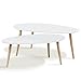 IDMarket - Lot de 2 Tables Basses gigognes Gigi laquées Blanc scandinave
