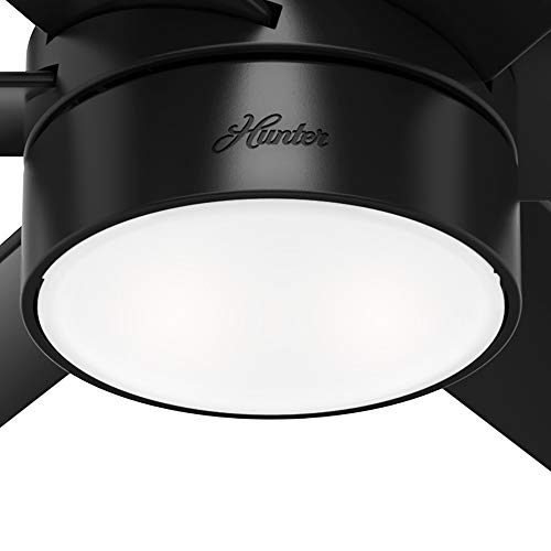 Hunter 60 inch Outdoor or Indoor Ceiling Fan with LED Light - Black Ceiling Fan with Wall Control, For Patio, Garage, or Porch, Quiet, Standard Mount, 6 Blades - Solaria 59624, Matte Black - Image 12