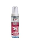 Zedan Fleck-Weg Schaum/Expressreinigung 200ml
