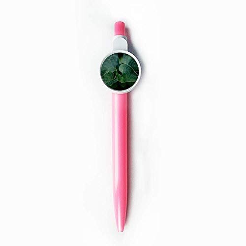 Stylo bille rétractable bleu motif nature feuille sombre écriture DIYthinker