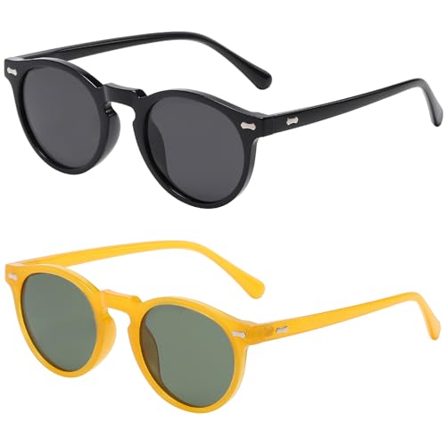 Vintage Polarized Sunglasses for Men Women Stylish Retro Round Sun Glasses UV Protection