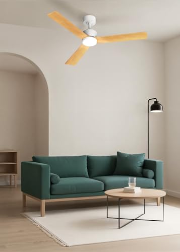 CREATE WIND MODERN M Ceiling Fan installed in a living room