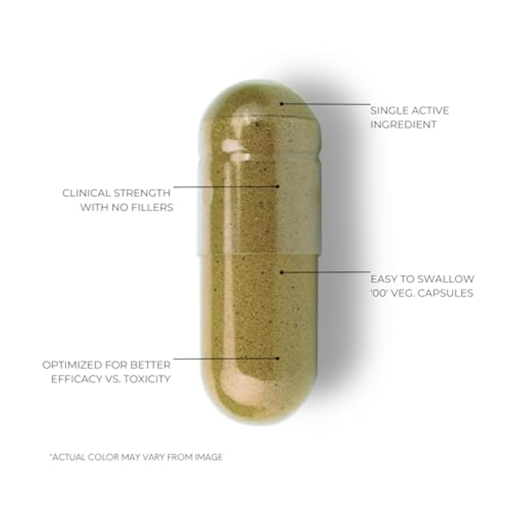 Organic Bacopa Monnieri Capsules 750mg, Herbal Supplement