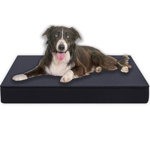 MyBestBuddy Hundekissen Premium orthopädisch mit 8 cm Vollschaum-Kern grau 120x80 cm XXL, Hundematte mit Stoffbezug, 40°C waschbar, allergikerfreundlich - Hundebett für sehr große Hunde, 120 x 80 cm